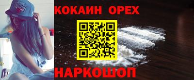 соль ск Партизанск