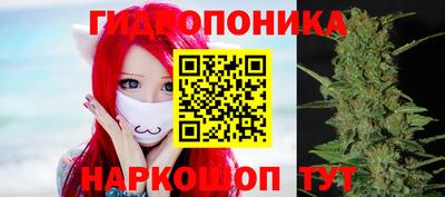 соль ск Партизанск