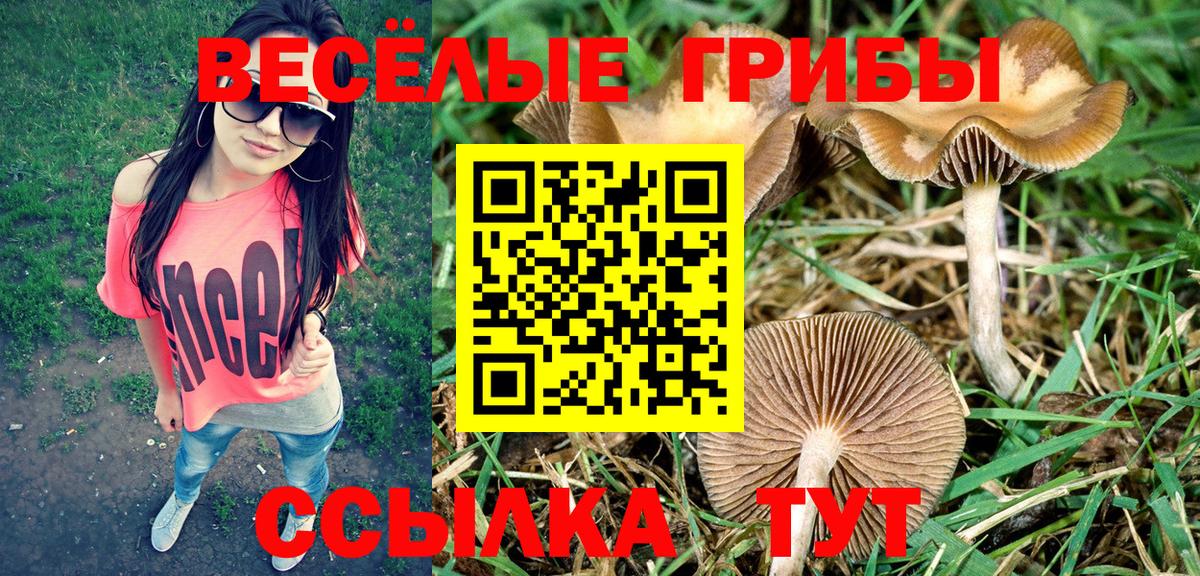 Псилоцибиновые грибы MAGIC MUSHROOMS Первоуральск