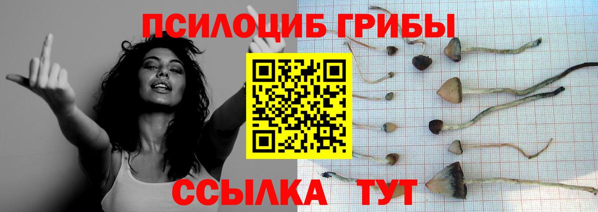 Псилоцибиновые грибы Psilocybine cubensis  Вход с VPN  Первоуральск  Псилоцибиновые грибы мухоморы 