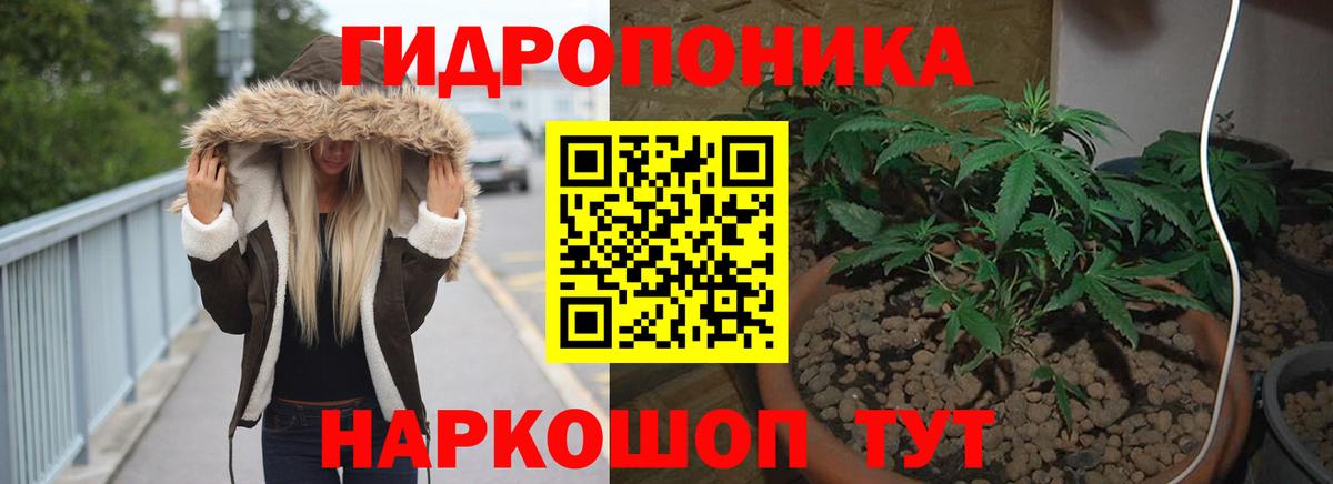 Каннабис сатива  Вход с VPN  Канабис OG Kush  Каннабис конопля  Конопля White Widow  Первоуральск 